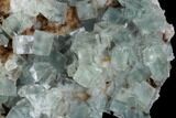 Blue-Green, Cubic Fluorite Crystal Cluster - Morocco #99004-2
